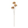 Golden Hydrangea Stem (Set of 12) 28"H Polyester