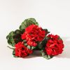 Geranium Bush (Set of 2) 20.25"H Polyester