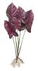 Caladium Plant (Set of 2) 22.25"H Polyester