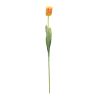 Tulip Stem (Set of 6) 27"H Polyester/Plastic