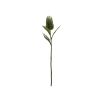 Protea Stem (Set of 6) 20"H, 26.5"H Polyester