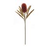 Banksia Stem (Set of 6) 24"H Plastic