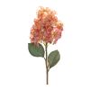 Cone Hydrangea Stem (Set of 6) 34.5"H Polyester