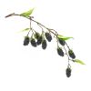 Raspberry Vine (Set of 6) 24.5"L Plastic/Polyester