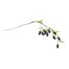 Raspberry Vine (Set of 6) 24.5"L Plastic/Polyester