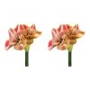 Amaryllis Stem (Set of 2) 28.5"H Polyester