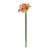 Amaryllis Stem (Set of 2) 28.5"H Polyester