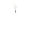 Astilbe Stem (Set of 6) 34"H Plastic-Polyester