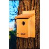 Cedar Wood Outdoor Garden Birdhouse