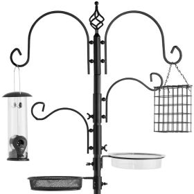 Complete Bird Feeder Set With Black Metal Stand