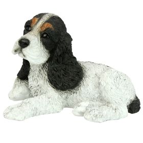 BLACK & WHITE COCKER SPANIEL PUPPY