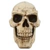 Sinister Simon Halloween Garden Outdoor Skull