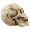 Sinister Simon Halloween Garden Outdoor Skull