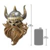 SKULL OF VALHALLA VIKING PLAQUE