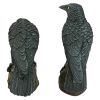 Mystic Night Raven Outdoor Halloween Statues