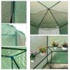 Outdoor Hexagon Greenhouse 6.5x7 Ft With Steel Frame PE Cover & Shelves