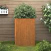 Planter 20.5"x18.9"x29.5" Corten Steel