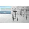 Manhattan Comfort Madeline 41.73" Barstool with Seat Cushion in Black