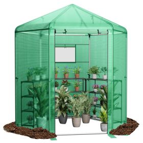 Walk-In Hexagonal Greenhouse With PE Cover & Metal Frame