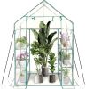 Walk in Greenhouse with 3 Tier 6 Shelves,2 More Bottom Shelves Reinforced Plant House,Steel Frame Growhouse/Green House for Outdoor