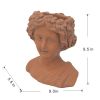 Brown Head Bust Cement Outdoor Garden Planter