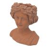 Brown Head Bust Cement Outdoor Garden Planter