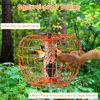 Squirrel-Proof Bird Feeder with Cage and 4 Metal Ports