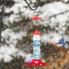 Outdoor Hanging Hummingbird Feeder