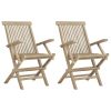 Folding Patio Chairs 2 pcs Gray 22"x24"x35" Solid Wood Teak