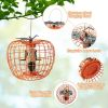 Hanging Squirrel-Proof Bird Feeder with Cage