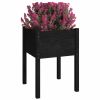 Garden Planters 2 pcs Black 19.7"x19.7"x27.6" Solid Wood Pine