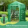 Walk-In Hexagonal Greenhouse With PE Cover & Metal Frame