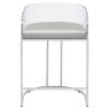 Grey and Chrome Acrylic Back Stools (Set of 2)