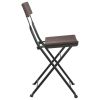 Folding Bistro Chairs 2 pcs Brown Poly Rattan and Steel