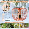 Squirrel-Proof Bird Feeder with Cage and 4 Metal Ports