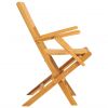 Folding Patio Chairs 2 pcs 21.7"x24"x35.4" Solid Wood Teak