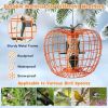 Hanging Squirrel-Proof Bird Feeder with Cage