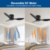 40" Flush Mount Ceiling Fan without light, 3 Reversible Blades, with 6 Speeds Reversible DC Motor