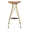 Whiskey and Gold Backless Bar Stools (Set of 2)