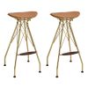 Whiskey and Gold Backless Bar Stools (Set of 2)