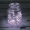 2Pcs LED String Lights 100LED Beads 32.8FT Copper Fairy Lights