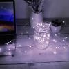 2Pcs LED String Lights 100LED Beads 32.8FT Copper Fairy Lights