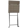 Folding Bistro Chairs 6 pcs Gray Poly Rattan and Steel