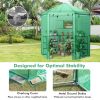 Walk-In Hexagonal Greenhouse With PE Cover & Metal Frame