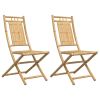 Folding Patio Chairs 2 pcs 18.1"x26"x39" Bamboo