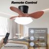 24'' walnut Small Ceiling Fan with Lights and Remote LED 18W Modern Flush Mount Ceiling Fan Adjustable Color