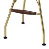 Metal Backless Barstool with Flared legs and Braces Support, Set of 2, Gold