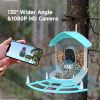 Smart Bird Feeder With Camera, AI Identify Bird Species & Solar Panel, Bird Watching Camera, Auto Capture Bird Video, Instant Bird Arrival Alert