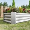 Metal Raised Garden Bed, Rectangle Raised Planter 4Ã—2Ã—1ft for Flowers Plants, Vegetables Herb Silver