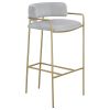 Grey and Gold Low Back Stool